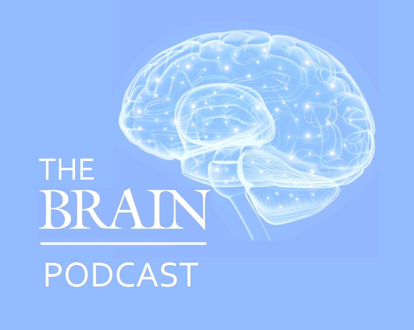 The Brain Podcast