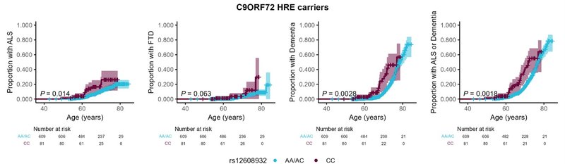 2026 ABN Jiali Gao figure