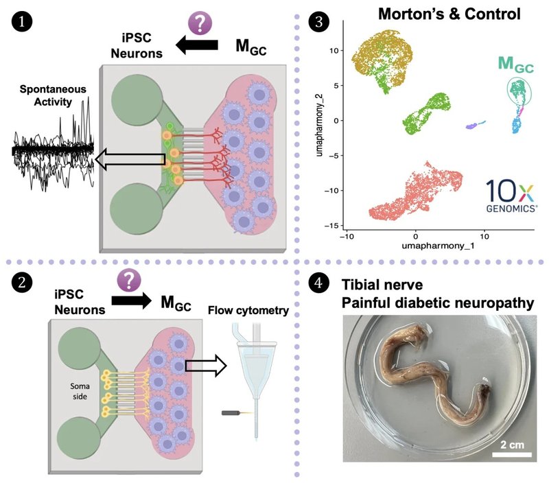 PaoShengChang_figures