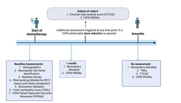 2026 ABN Rebecca Johnson_Figure