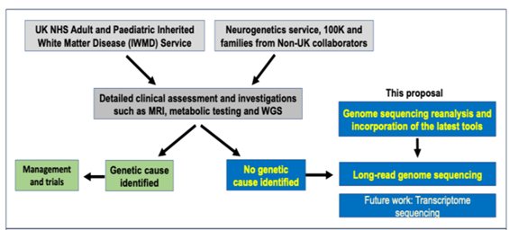 2026 Entry Karen Gunanayagam Figure